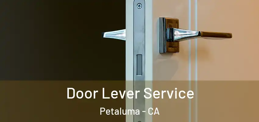  Door Lever Service Petaluma - CA